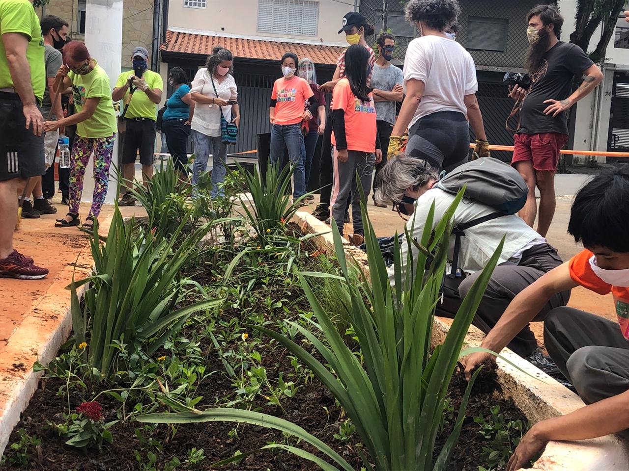 Pessoas plantando mudas durante a montagem do jardim de chuva