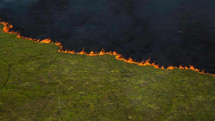 Pantanal do Rio Negro – Linha de fogo | Foto: João Farkas