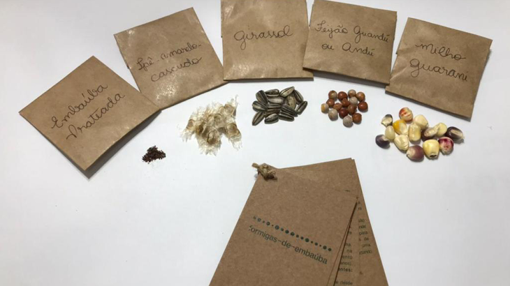 Fotografia mostra cartão em papel reciclado e cinco pacotes de papel craft contendo sementes de embaúba prateada, ipê-amarelo cascuco, girassol, feijão guandú e milho guarani