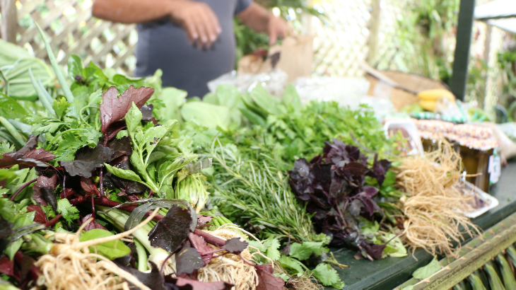 Alimentos orgânicos, saudáveis para o ambiente e para o consumirdor. Foto: Lúcio Érico - Sesc