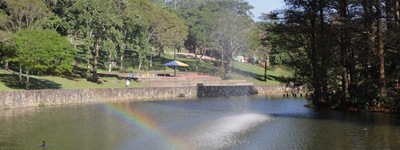 Fotografia do lago no Sesc Interlagos mostra um arco-íris formado no percurso da água jorrada pelo chafariz. Ao fundo, as árvores e estrutura da unidade.