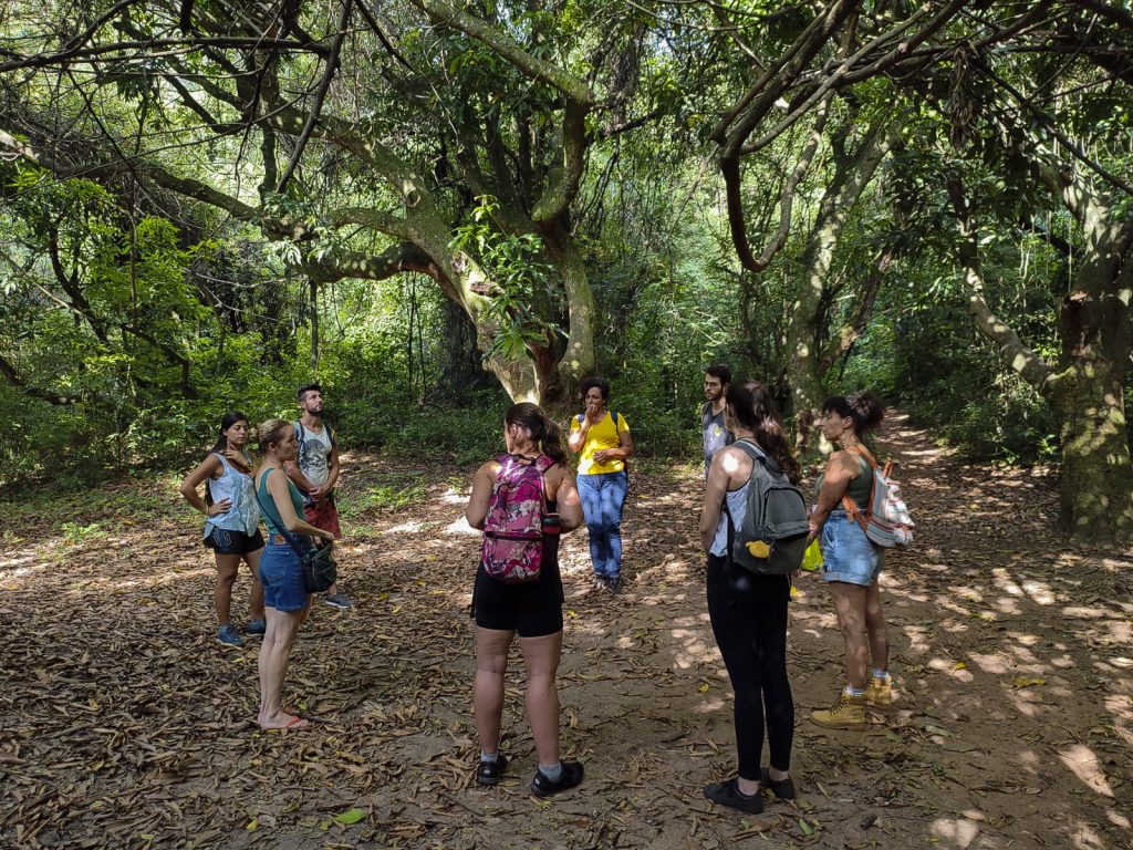 Banho de Floresta é uma das vivências realizadas pela ONG Floresta Cultural para reconexão com a natureza e preservação de uma área de 257 mil metros quadrados em Sorocaba (SP). Foto: Camila Pedroso