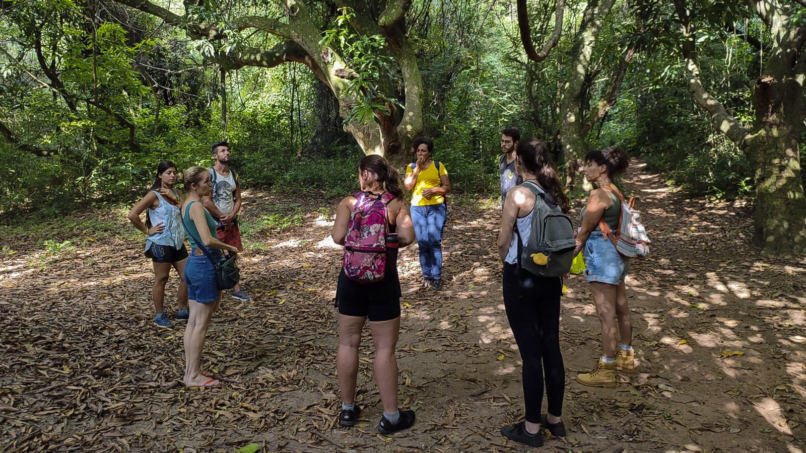 Banho de Floresta é uma das vivências realizadas pela ONG Floresta Cultural para reconexão com a natureza e preservação de uma área de 257 mil metros quadrados em Sorocaba (SP). Foto: Camila Pedroso