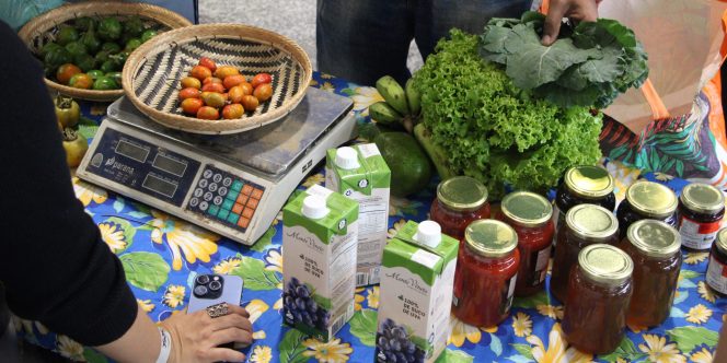 Foto: Carol de Freitas