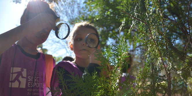 Foto: Estevão Salomão 