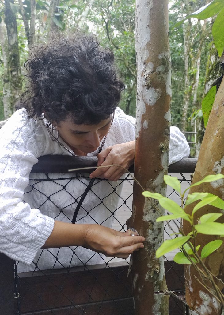 A repórter Maria Júlia Lledó ausculta uma árvore durante passeio pela Trilha do Sentir, na Reserva Natural Sesc Bertioga. Foto: Guilherme Barreto.