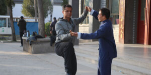 Tai Chi Chuan Estilo Chen