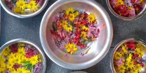 Mandala de Flores. Foto: Anne Binder