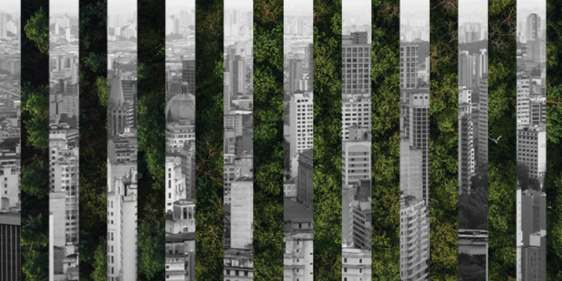 Somos natureza. A integração da cidade com áreas verdes é um estm[iluo para a promoção da qualidade de vida no ambiente urbano. Fotos: Craig/Adobe Stock e Olena Sergienko/Unsplash.