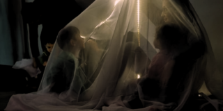 Banho de luz - foto: divulgação