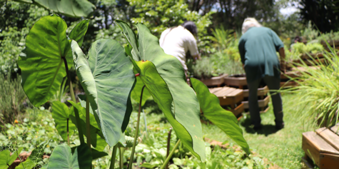 Foto: Cauê Colodro