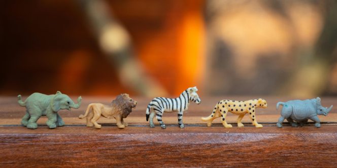 Foto: Magda Ehlers/Pexels