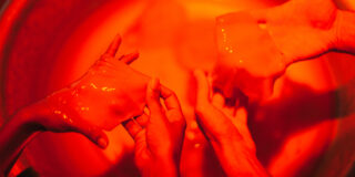 Gramáticas da Natureza: Imersões Temáticas - Foto: Divulgação