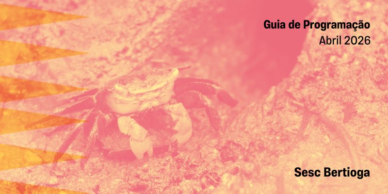 Imagem destacada sobre o post em questão.