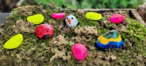 Pedrinha miudinha - foto: divulgação