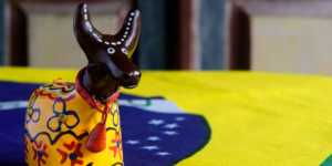 Meu Boizinho de Brinquedo