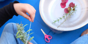 Raízes, magia, poções e sabedoria - divulgação