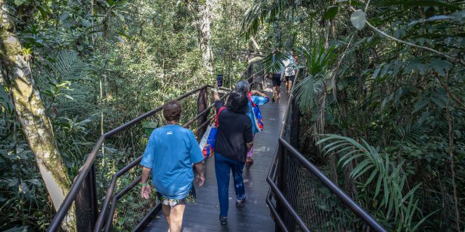 crédito: Matheus José Maria