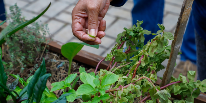 Foto: Ciete Silvério