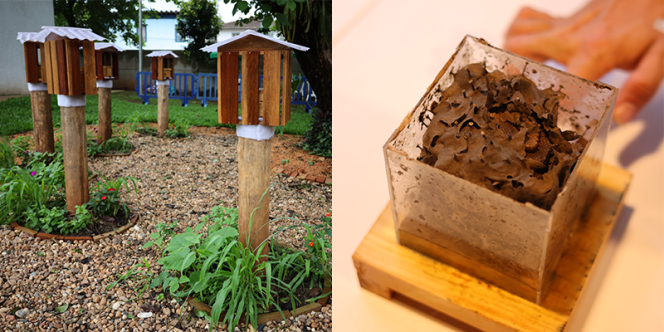 Meliponário do Sesc Registro | Créditos: Erlon Viana