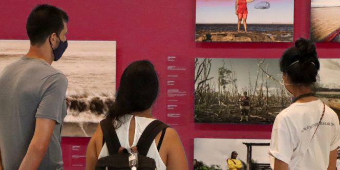 Foto: Guilherme Luiz de Carvalho