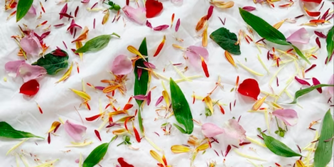 Foto: divulgação