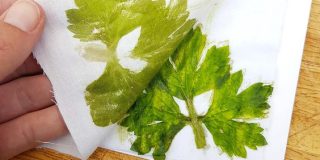 Impressão Japonesa: Tataki-Zome