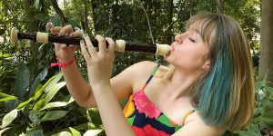 Flauta doce - iniciação ao sopro