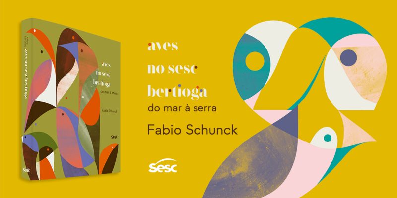 Imagem destacada sobre o post em questão.