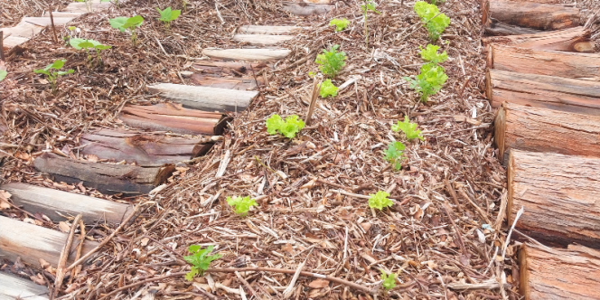 Foto: Flávia Franco