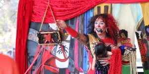 Tarântula Transita - Foto: Barbara