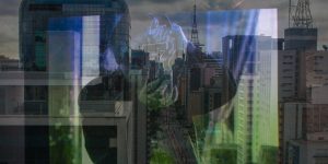 Paulista Teimosa_Foto Oliver Muniz