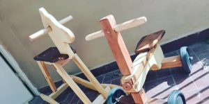 Cavalinho de pau (foto: divulgação)