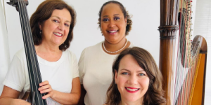 Vozes da diversidade