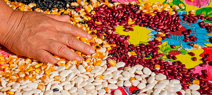 foto: Haroldo Castro