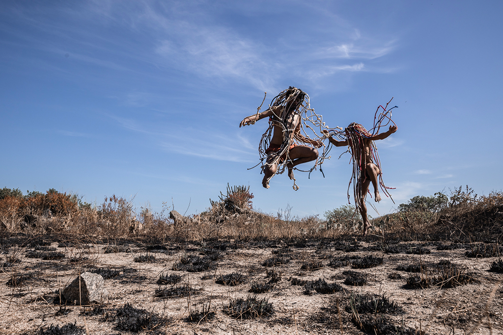 Cordeiros. Foto: Renato Mangolin