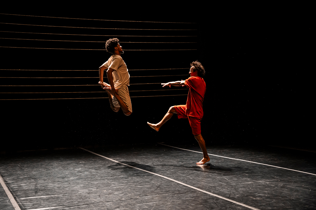 Cordeiros. Foto: Renato Mangolin