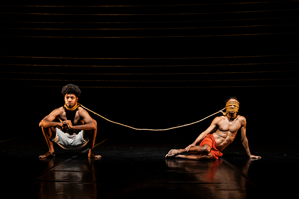 Cordeiros. Foto: Renato Mangolin