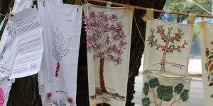 Curso de sustentabilidade