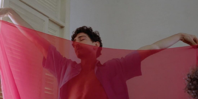 Foto: divulgação