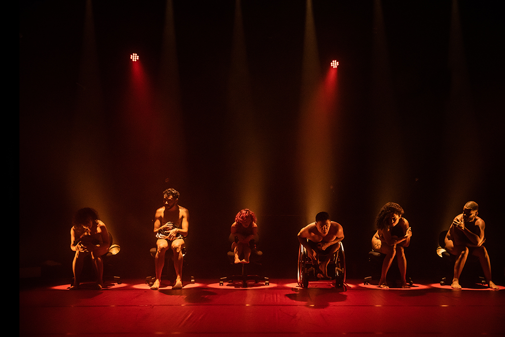 Reino dos Bichos e dos Animais. Foto: Renato Mangolin