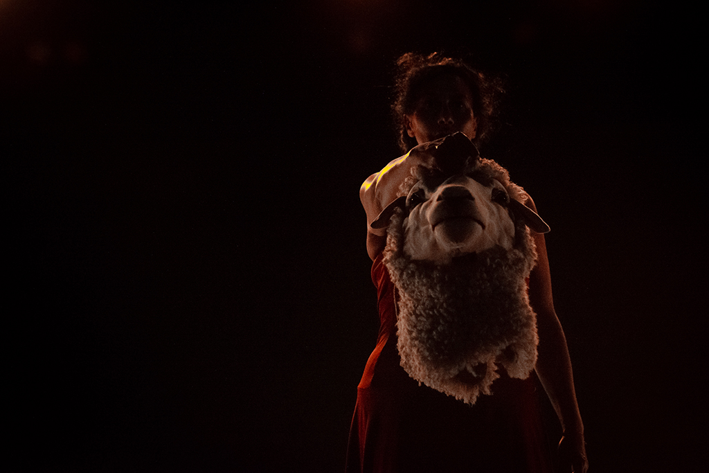 TE MANA HAÂRA El poder que Permanece. Foto: Patricio Báez