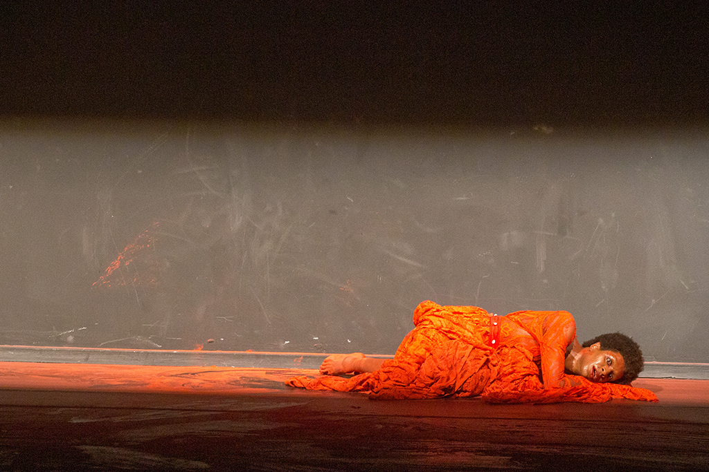 UMA. Foto: Venâncio Cruz