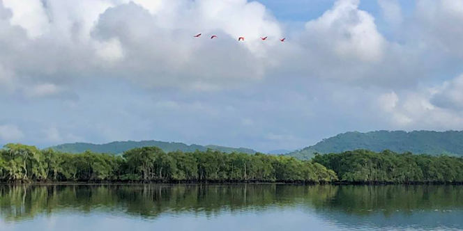 Foto: Julia Parpulov