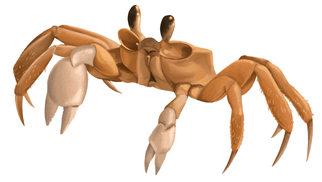 Ilustração: Priscila Barbosa