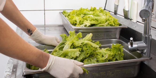 Sabor sem desperdício. Foto: Natt Fejfar.