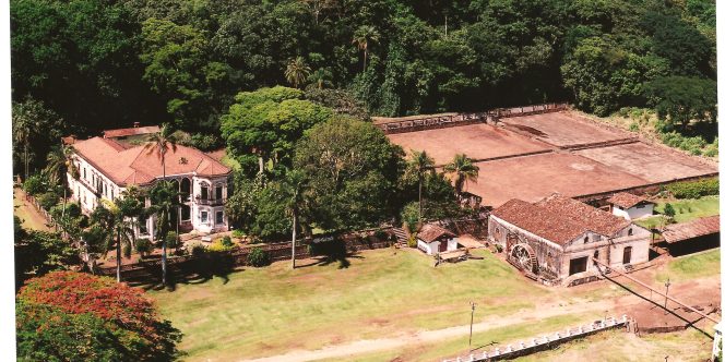 Foto: Acervo Fazenda Sta Maria