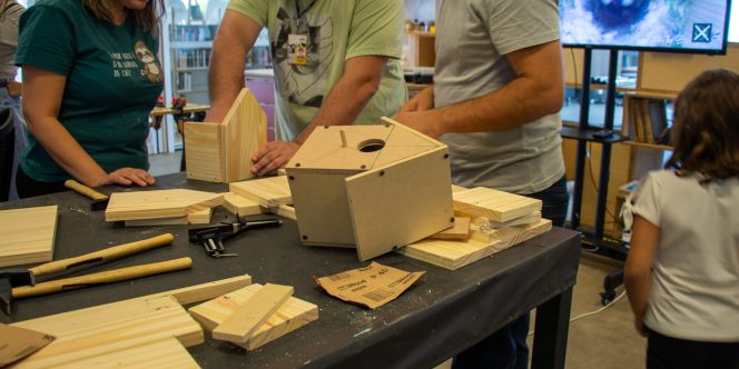 Foto: Eduardo Valentim