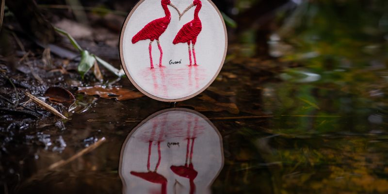 Imagem destacada sobre o post em questão.