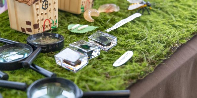 Foto: Mirella Ghiraldi